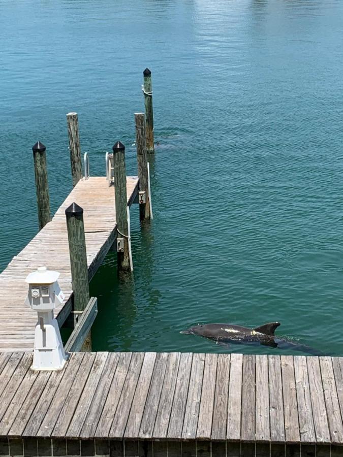 Luxury And Spacious Waterside Getaway Clearwater Beach Dış mekan fotoğraf